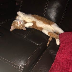 Meet your Posher, Danisha